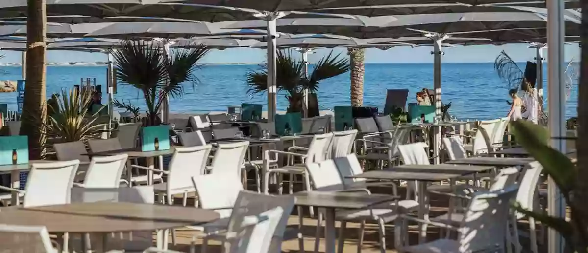 Repas de Groupe - Privatisation - La Petite Plage - Restaurant La Grande-Motte - Bar à cocktail La Grande-Motte