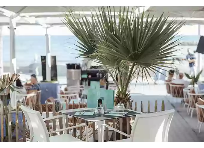 Galerie - La Petite Plage - restaurant LA GRANDE-MOTTE - Bar à tapas La Grande-Motte