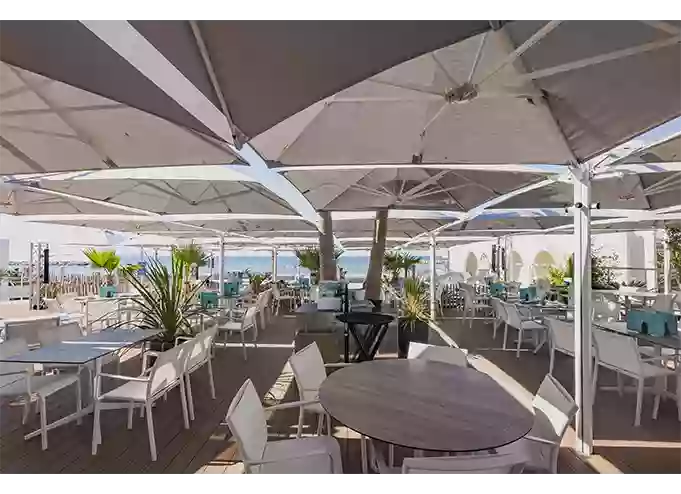 Galerie - La Petite Plage - restaurant LA GRANDE-MOTTE - bon restaurant LA GRANDE-MOTTE