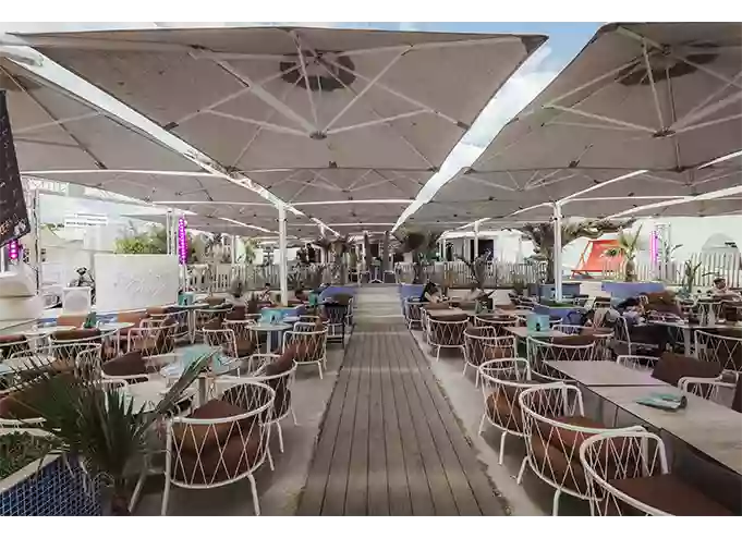 Galerie - La Petite Plage - restaurant LA GRANDE-MOTTE - bon restaurant LA GRANDE-MOTTE